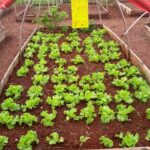 123688426_768766377035046_3827757571652247390_n(1)